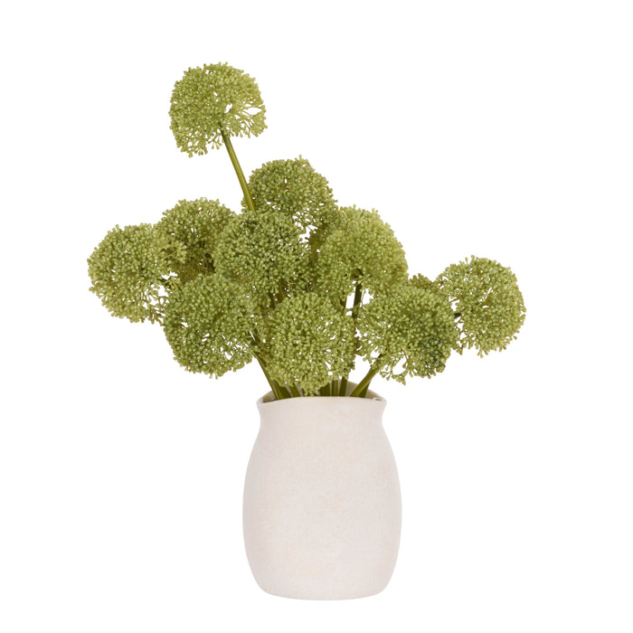 Rogue Buddleia - Maliah Pot Green