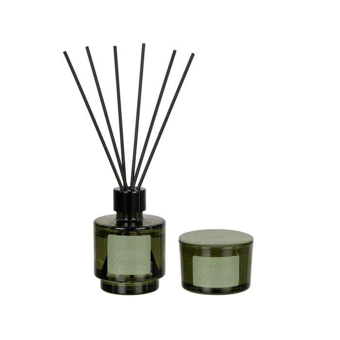 Academy Oak Forest Fragrance Set 100ml/90g Green