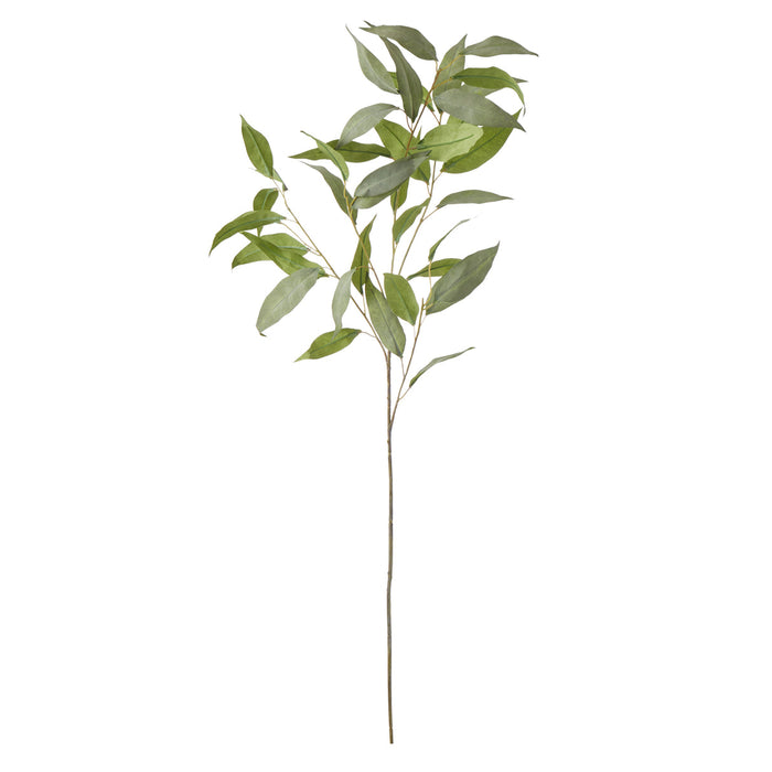 Rogue Eucalyptus Stem Green