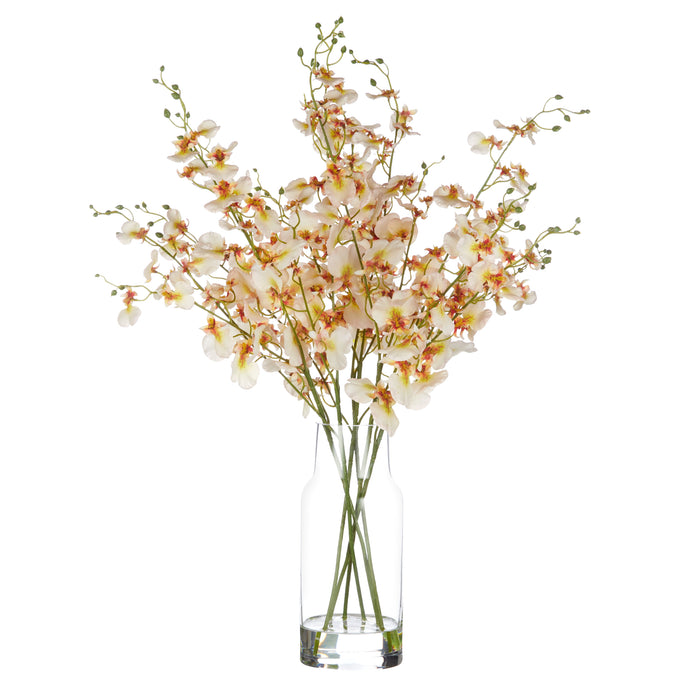 Rogue Dancing Orchid - Rachel Vase Cream & Clear