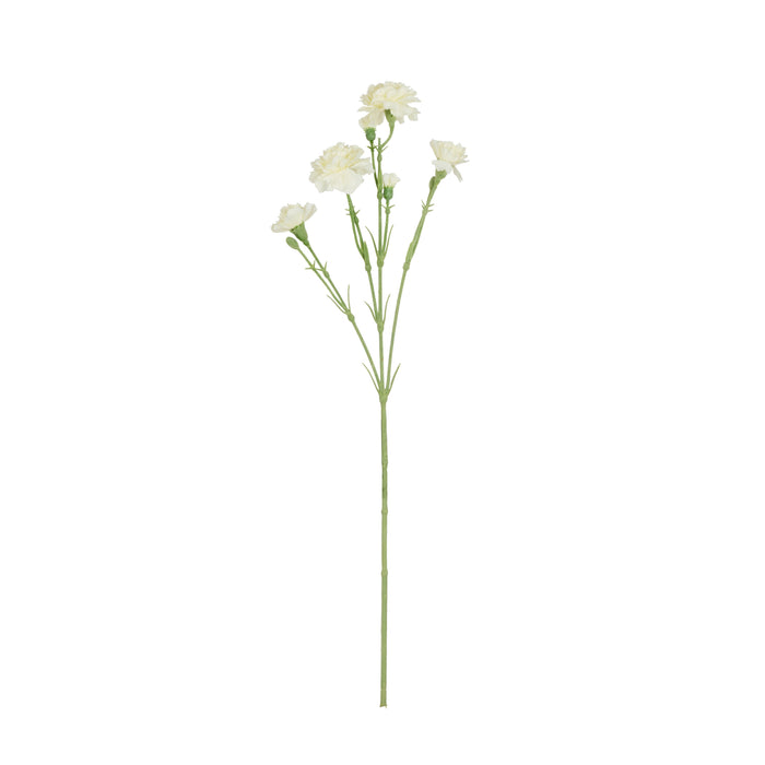 Rogue Carnation Spray Ivory