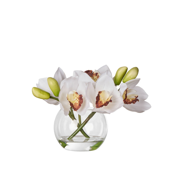 Rogue Cymbidium Orchid & Glass Vase White