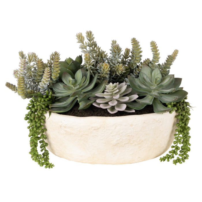 Rogue Succulent Garden - Textured Cement Pot Green/Cream