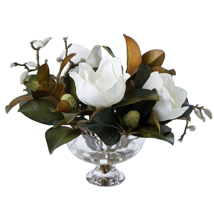 Rogue Magnolia Grandiflora - Dahlia Bowl White