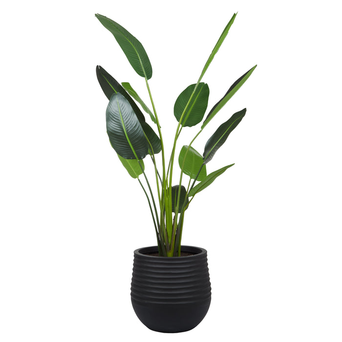 Rogue Bird Of Paradise - Ryker Planter Large Green & Black