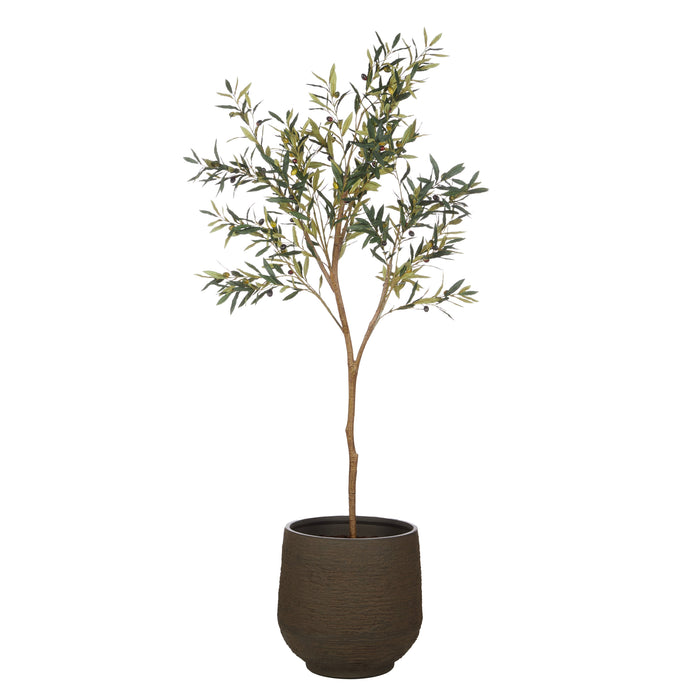 Rogue Olive Tree - Trillium Planter Green