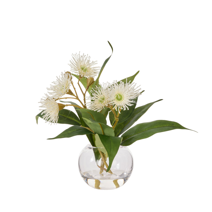 Rogue Flowering Eucalyptus - Sphere White & Green