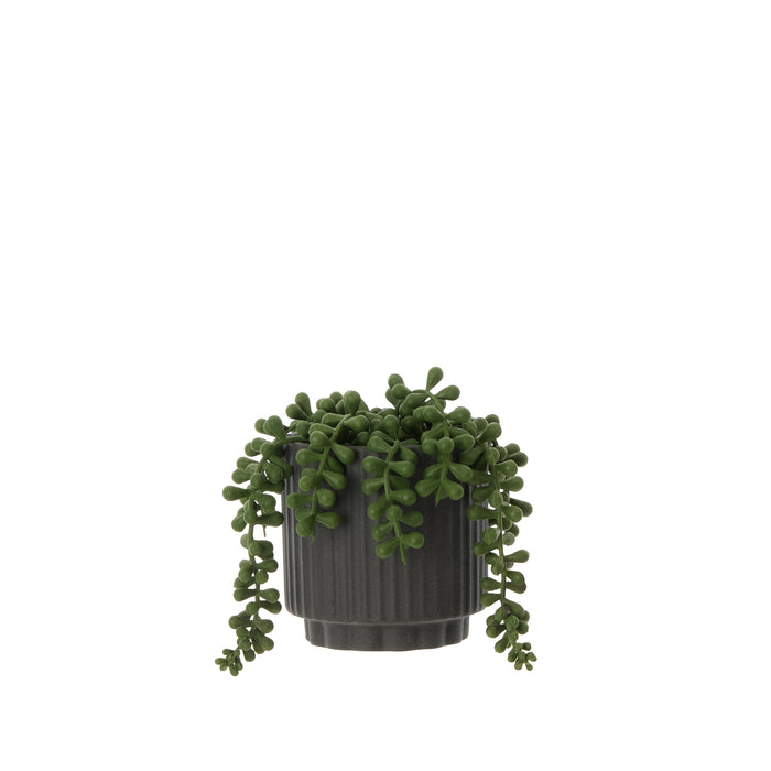 Rogue String of Pearls Pot Green & Black