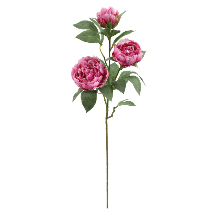 Rogue Peony Stem UV Dark Pink