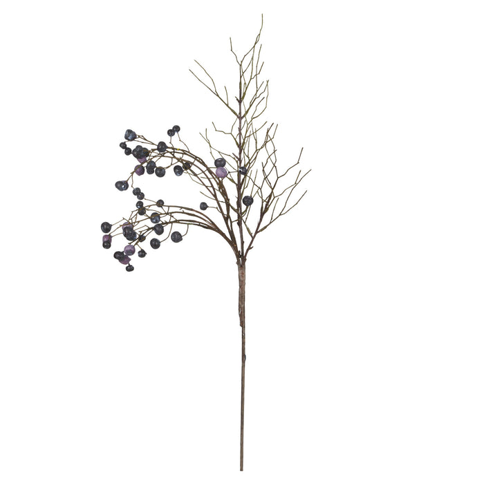 Rogue Wild Berry Spray Blue