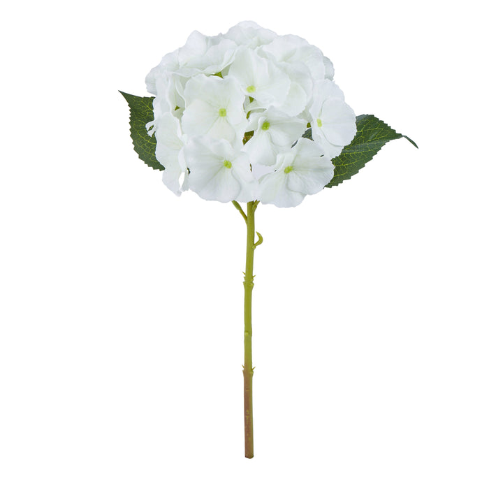 Rogue Hydrangea Evie White