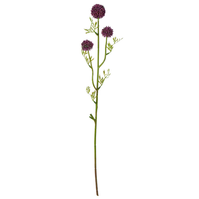 Rogue Mini Allium Stem Dark Purple