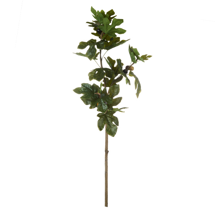 Rogue Fig Spray Green