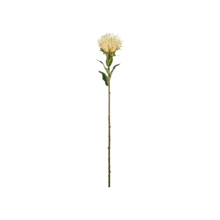 Rogue Pin Cushion Stem Cream