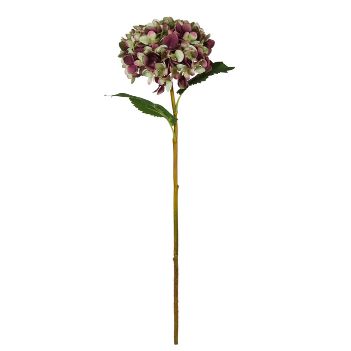 Rogue Grand Hydrangea Stem Burgundy