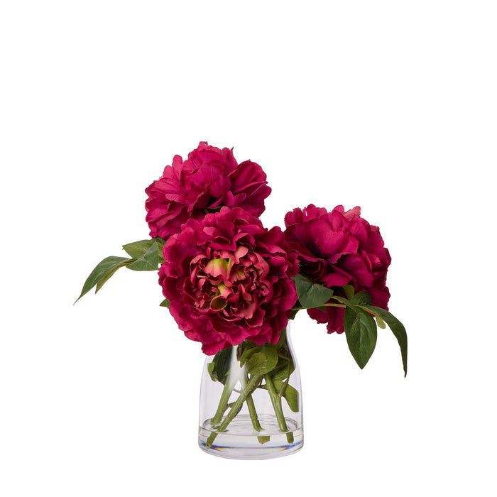 Rogue Peony Stem - Stella Vase Burgundy