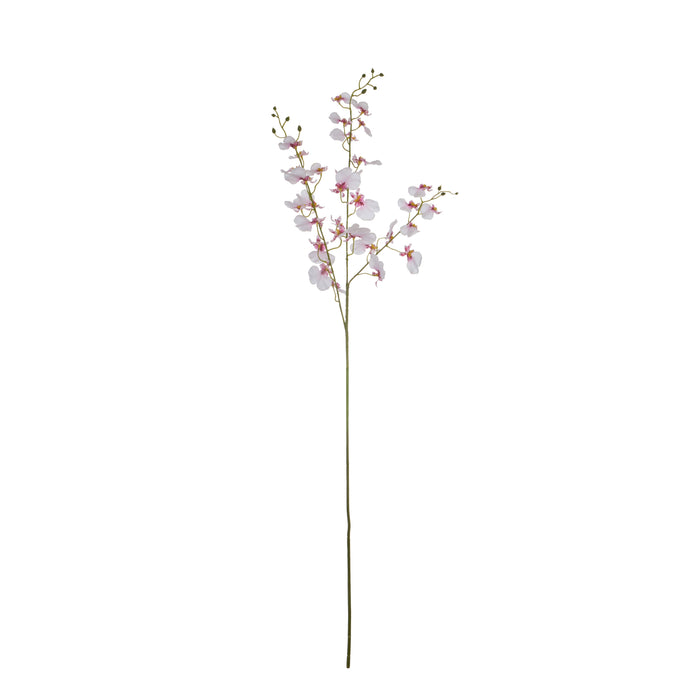 Rogue Dancing Orchid Pink