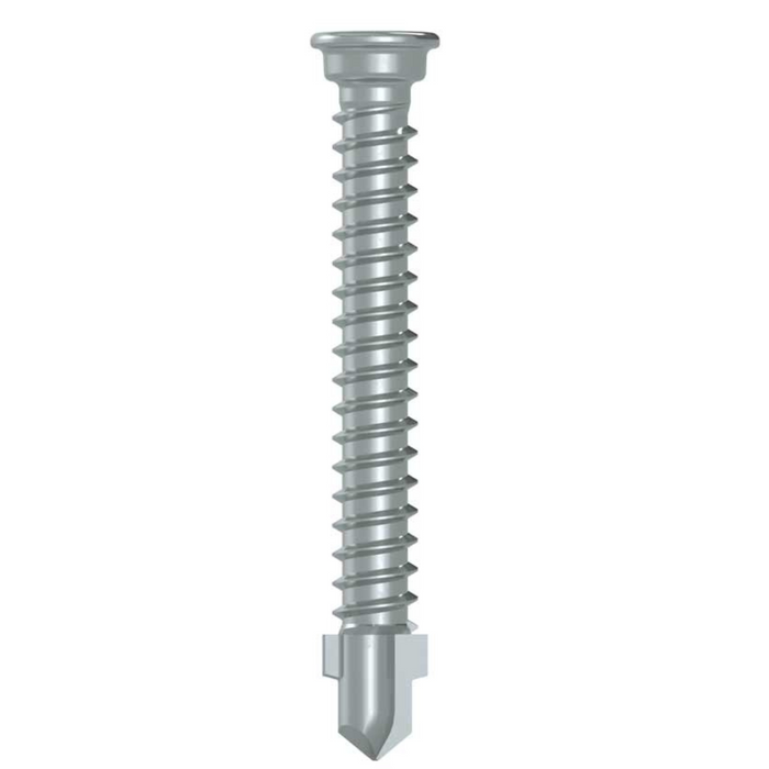 AnchorMark Fencing Screw S2 5.5x45 DS TTM Silver (QTY 500)